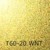 VbNT60-20 WNT